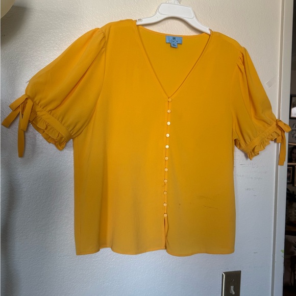 CeCe Yellow Top - Picture 3 of 15